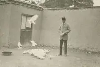 نگاهی به خانه شاعر مشروطه‌خواه در بن‌بست گوهر  