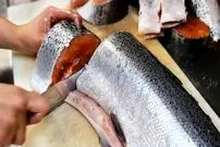 ببینید| غذای خیابانی در آمریکا؛ برش، دودی کردن و پخت غذا با ماهی سالمون در شیکاگو