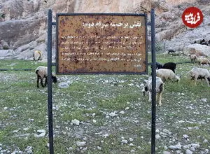 عکس| پشم‌چینی گوسفندان کنار سنگ‌نگاره ساسانی!