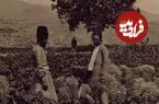 عکس| سفر زمان؛ منظرۀ استثنایی یک مزرعه در بیرون از دروازۀ تهران؛ 140 سال قبل