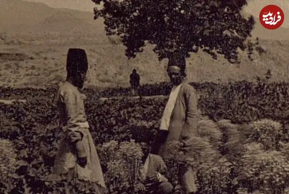 عکس| سفر زمان؛ منظرۀ استثنایی یک مزرعه در بیرون از دروازۀ تهران؛ 140 سال قبل