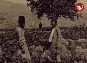 عکس| سفر زمان؛ منظرۀ استثنایی یک مزرعه در بیرون از دروازۀ تهران؛ 140 سال قبل