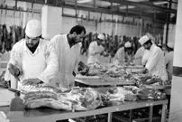 تصاویر؛ سفر در زمان؛ کشتارگاه تهران ۷۰ ساله شد!