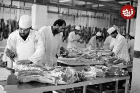 تصاویر؛ سفر در زمان؛ کشتارگاه تهران ۷۰ ساله شد!