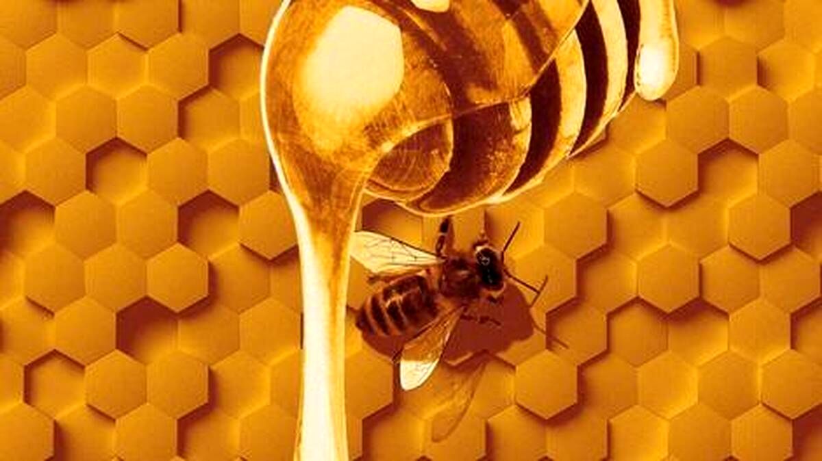 (ویدئو) یک بار برای همیشه: عسل نه مدفوع است نه استفراغ زنبور!
