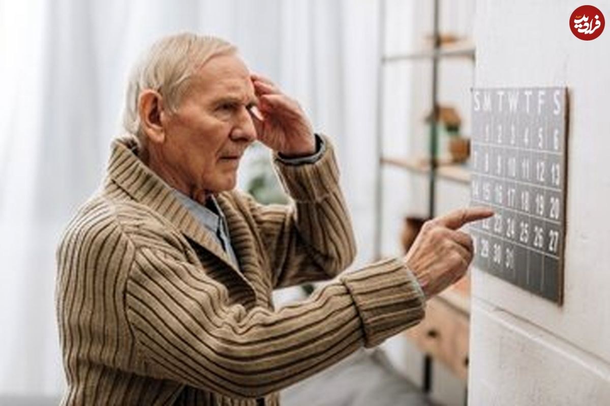 شتر این بار در نقش دشمن آلزایمر!