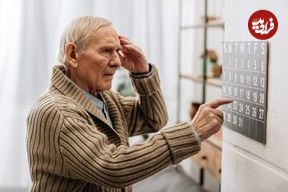 شتر این بار در نقش دشمن آلزایمر!