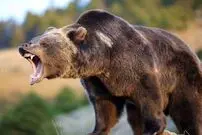 (عکس) سفر به ایران قدیم؛ روزی که یک خرس پارک ساعی را بهم ریخت
