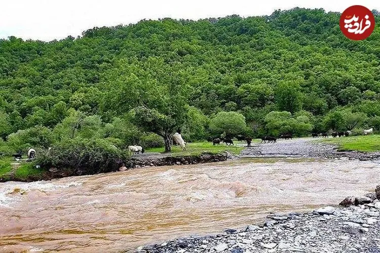 عکس| پیرانشهر؛ قلب سبز آذربایجان غربی