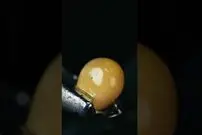 (ویدئو) لحظه تبدیل شدن یک ذرت به پاپ کورن از نمای میکروسکوپی