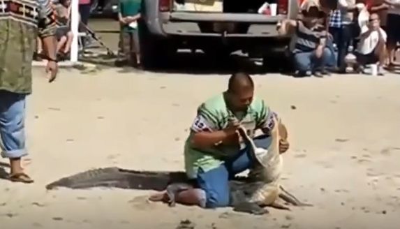 (ویدیو) غافلگیری ترسناک در اجرای یک نمایش در سواحل مکزیک!