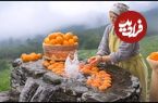 ببینید؛ غذای روستایی در آذربایجان؛ کباب بره طعم دار شده با پرتقال