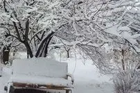 ببینید| کارزار ذخیره برف در افغانستان خبرساز شد