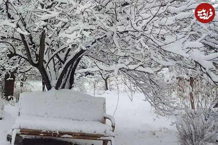ببینید| کارزار ذخیره برف در افغانستان خبرساز شد