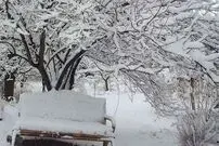 ببینید| کارزار ذخیره برف در افغانستان خبرساز شد