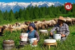 ببینید| غذای روستایی در آذربایجان؛ تهیه پنیر سنتی با شیر تازه گوسفند در طبیعت