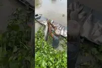 (ویدئو) مهارت این پیرمرد در ماهیگیری با دست شما را شگفت زده می کند!