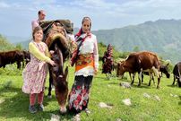ببینید؛ غذای روستایی در ایران؛ بردن گاوها به چراگاه و پخت املت