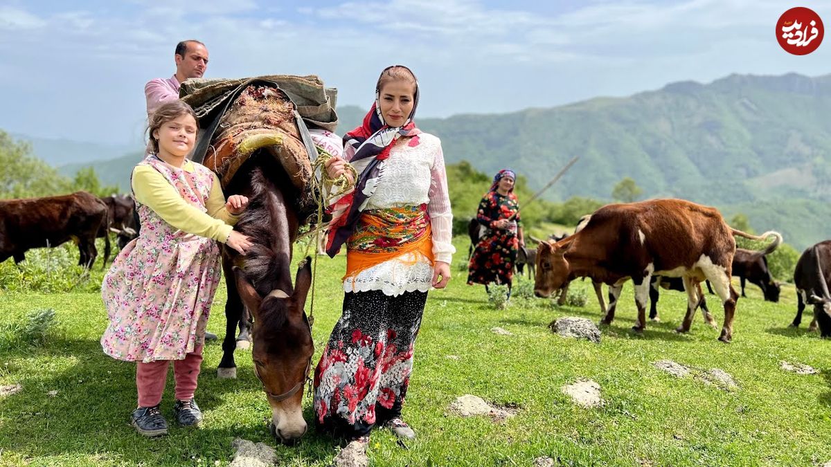 ببینید؛ غذای روستایی در ایران؛ بردن گاوها به چراگاه و پخت املت