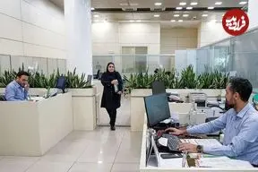 فساد نرم تبعیض؛ شایسته‌سالاری قربانی خویشاوندسالاری