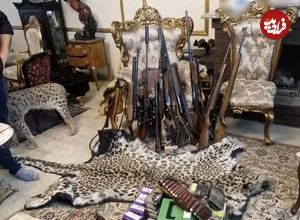 کشف محموله عظیم حیوانات تاکسیدرمی و سلاح‌های شکاری در تهران