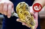 ببینید| غذای خیابانی در ژاپن؛ صدف سوخاری با سس مخصوص در اوکیناوا