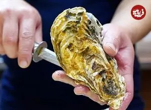 ببینید| غذای خیابانی در ژاپن؛ صدف سوخاری با سس مخصوص در اوکیناوا