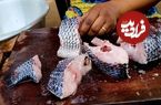 ببینید؛ غذای خیابان در غنا؛ طرز تهیه خورشت ماهی تیلاپیا
