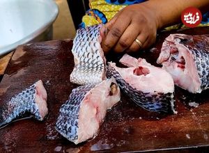 ببینید؛ غذای خیابان در غنا؛ طرز تهیه خورشت ماهی تیلاپیا
