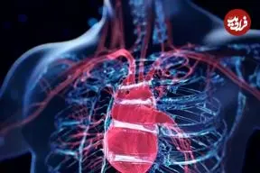 هوش مصنوعی جدید دانشگاه آکسفورد نارسایی قلبی را ۵ سال زودتر از ابتلا پیش‌بینی می‌کند