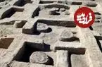 «اسب جنگی دوران فرعون» بعد از 3 هزارسال از زیر خاک بیرون آمد