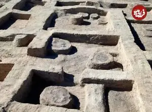 «اسب جنگی دوران فرعون» بعد از 3 هزارسال از زیر خاک بیرون آمد