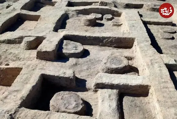 «اسب جنگی دوران فرعون» بعد از 3 هزارسال از زیر خاک بیرون آمد