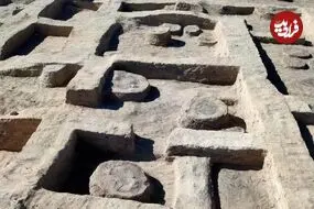 «اسب جنگی دوران فرعون» بعد از 3 هزارسال از زیر خاک بیرون آمد