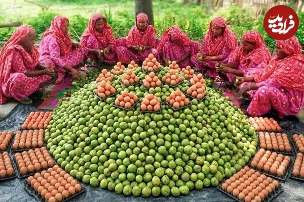 ببینید| غذای روستایی در بنگلادش؛ پخت یک خوراک محلی با 70 کیلو آلو جنگلی و 450 تخم مرغ