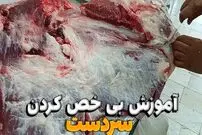 (ویدئو) آموزش صفر تا صد بی استخوان کردن سردست بزرگ گاو