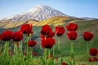 (عکس) بهشتی در چند قدمی تهران