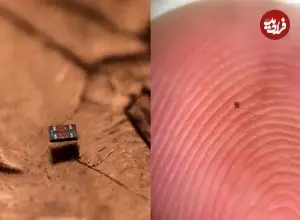 تصاویر؛ کوچک‌ترین ربات‌ جهان ساخته شد