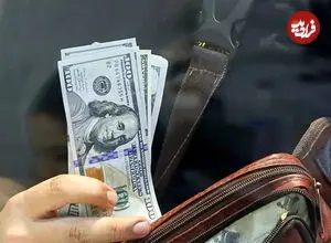 ارز مسافرتی ۱۴۰۵؛ ۵ نکته از سهمیه ۱۰۰۰ دلاری