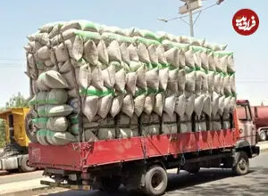ببینید| واژگونی ۳۰۰ کیسه برنج وسط جاده