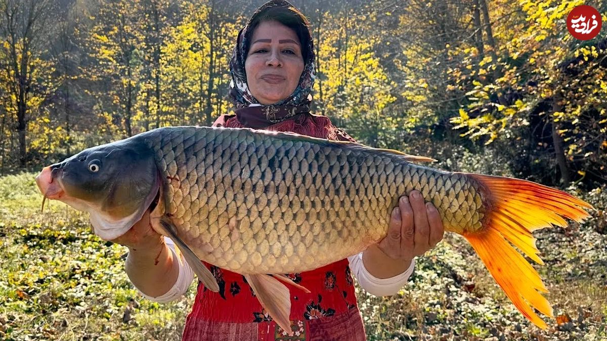 (ویدئو) غذای روستایی؛ کباب کردن جالب ماهی کپور 7 کیلوگرمی به سبک کدبانوی سوادکوهی