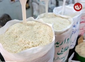 برنج بالاخره تسلیم شد