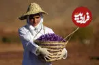 قیمت زعفران در بازار چقدر است؟