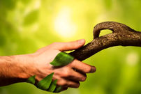 مردم کدام کشورها بیشترین میزان ارتباط با طبیعت را دارند؟ ایران رتبه دوم جهان!‍