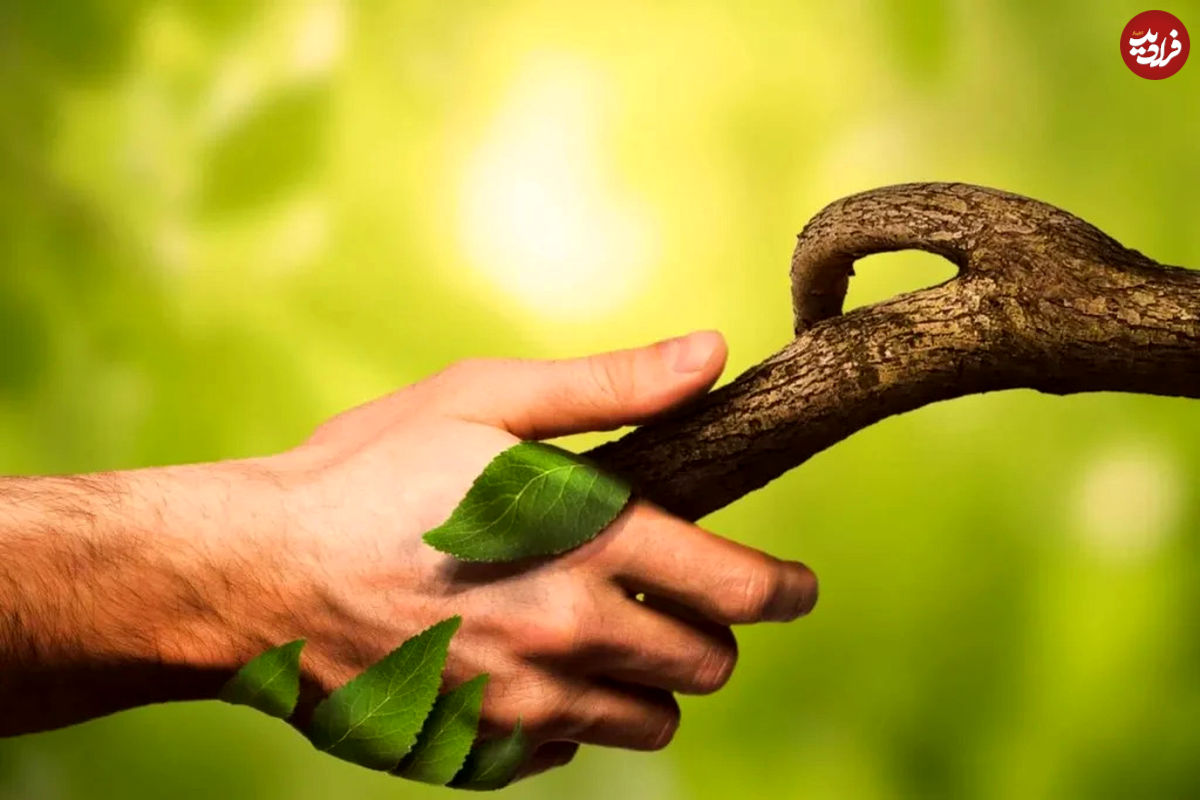 مردم کدام کشورها بیشترین میزان ارتباط با طبیعت را دارند؟ ایران رتبه دوم جهان!‍