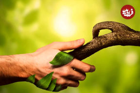 مردم کدام کشورها بیشترین میزان ارتباط با طبیعت را دارند؟ ایران رتبه دوم جهان!‍