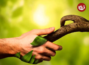 مردم کدام کشورها بیشترین میزان ارتباط با طبیعت را دارند؟ ایران رتبه دوم جهان!‍