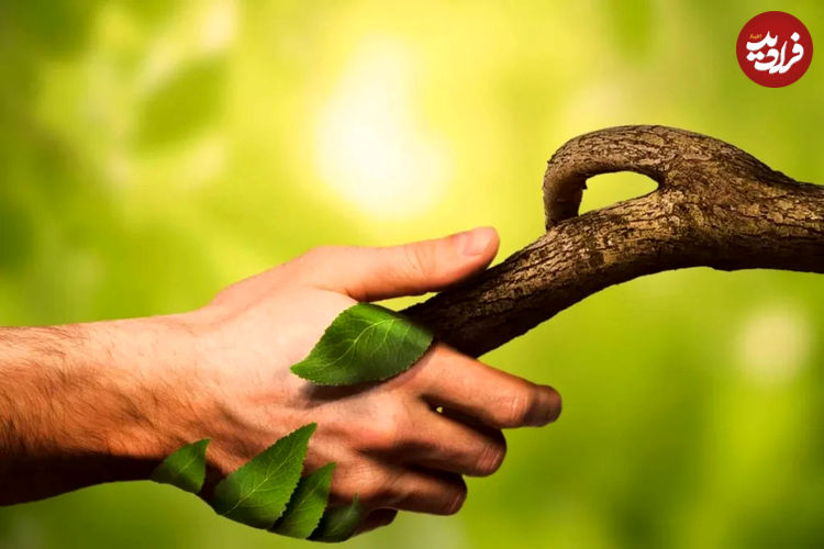 مردم کدام کشورها بیشترین میزان ارتباط با طبیعت را دارند؟ ایران رتبه دوم جهان!‍