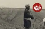 عکس| سفر زمان؛ کشاورز ایرانی و خرهای شخم‌زن؛ یک قرن قبل