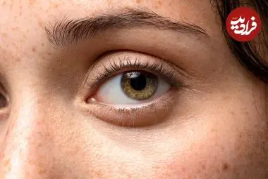  کشف راهی برای «راه‌اندازی دوباره چشم»